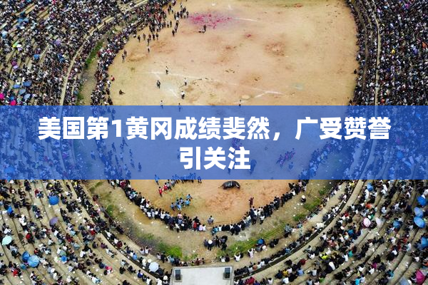 美国第1黄冈成绩斐然，广受赞誉引关注
