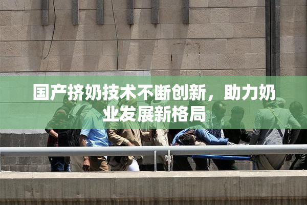 国产挤奶技术不断创新，助力奶业发展新格局