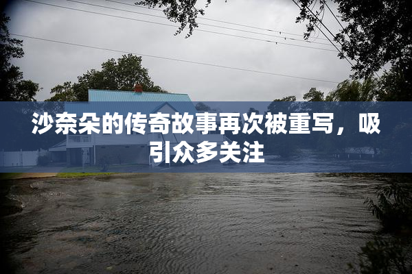 沙奈朵的传奇故事再次被重写，吸引众多关注