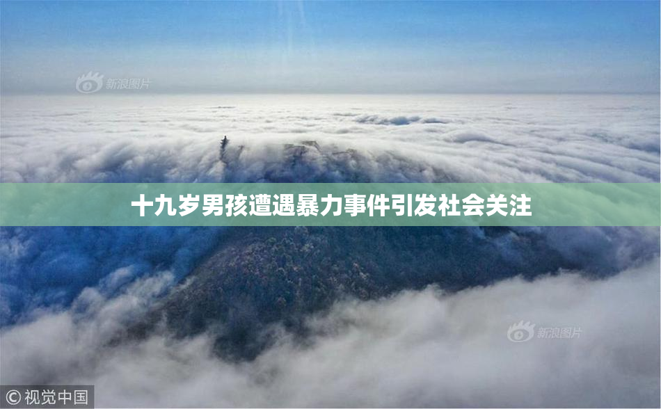 十九岁男孩遭遇暴力事件引发社会关注