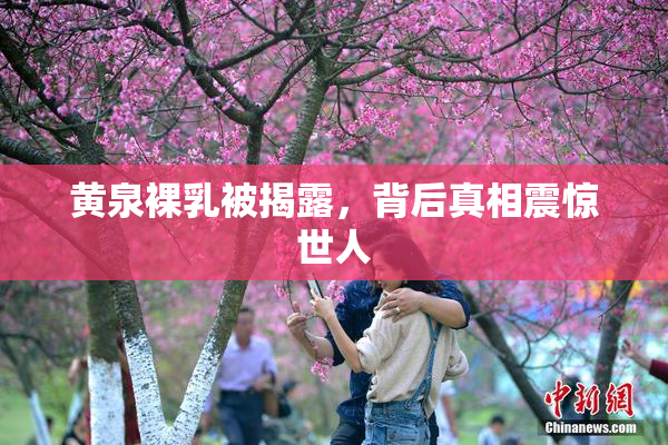 黄泉裸乳被揭露，背后真相震惊世人
