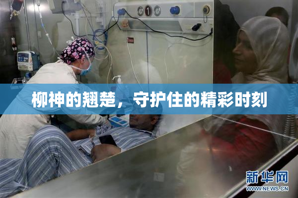 柳神的翘楚，守护住的精彩时刻