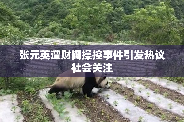 张元英遭财阀操控事件引发热议社会关注