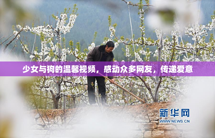少女与狗的温馨视频，感动众多网友，传递爱意
