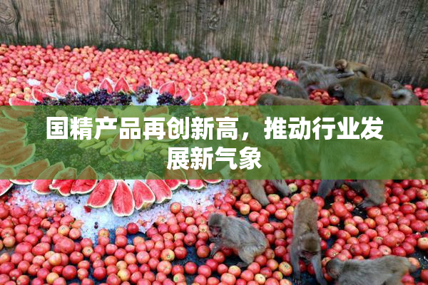 国精产品再创新高，推动行业发展新气象