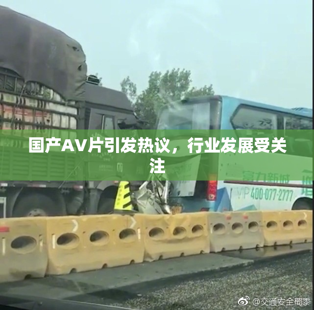 国产AV片引发热议，行业发展受关注