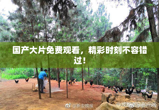 国产大片免费观看，精彩时刻不容错过！