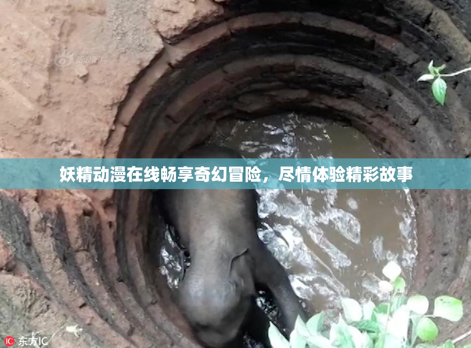 妖精动漫在线畅享奇幻冒险，尽情体验精彩故事