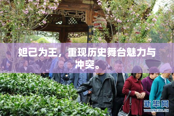 妲己为王，重现历史舞台魅力与冲突。