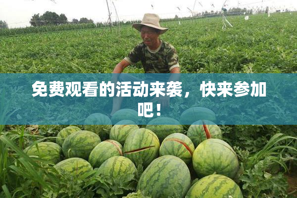 免费观看的活动来袭，快来参加吧！