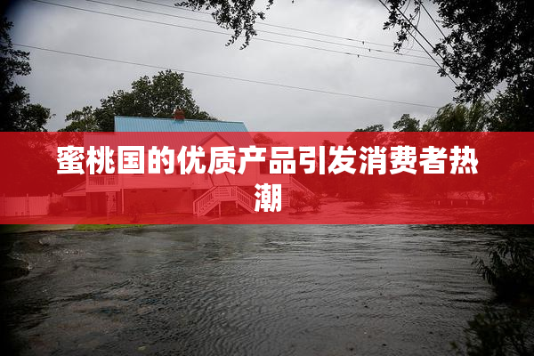 蜜桃国的优质产品引发消费者热潮