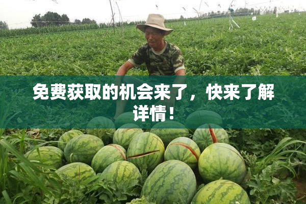 免费获取的机会来了，快来了解详情！