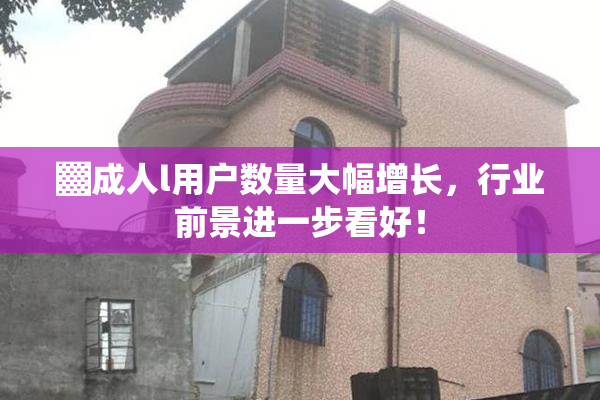 ▓成人l用户数量大幅增长，行业前景进一步看好！