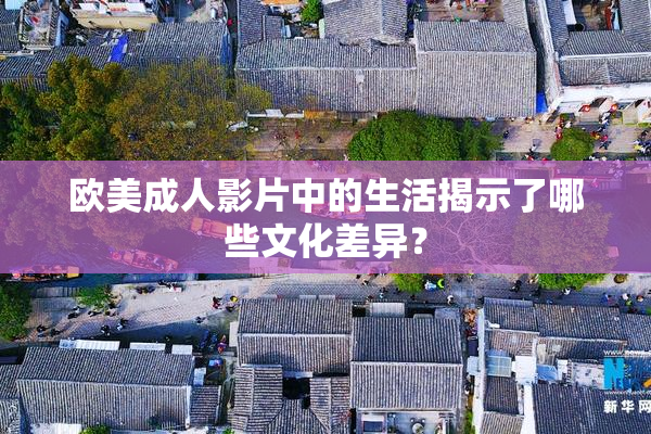 欧美成人影片中的生活揭示了哪些文化差异？