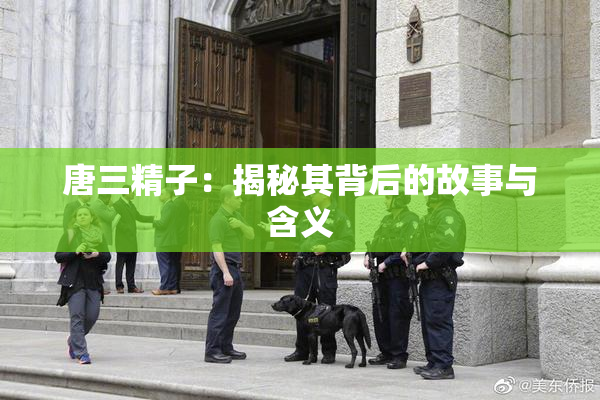 唐三精子：揭秘其背后的故事与含义