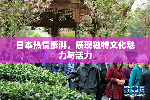 日本热情澎湃，展现独特文化魅力与活力