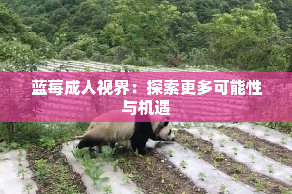 蓝莓成人视界：探索更多可能性与机遇