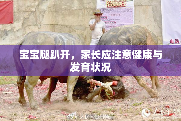宝宝腿趴开，家长应注意健康与发育状况