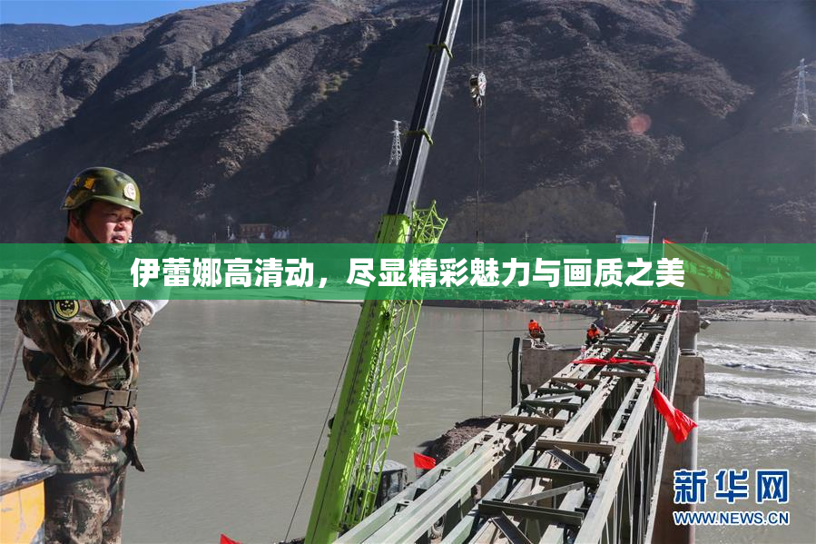 伊蕾娜高清动，尽显精彩魅力与画质之美