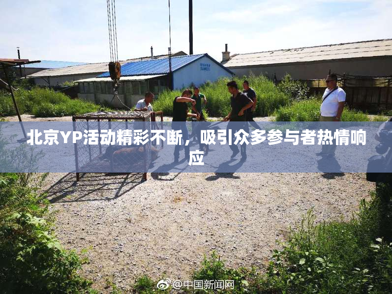 北京YP活动精彩不断，吸引众多参与者热情响应