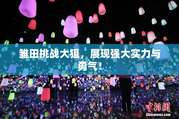 雏田挑战大狙，展现强大实力与勇气！