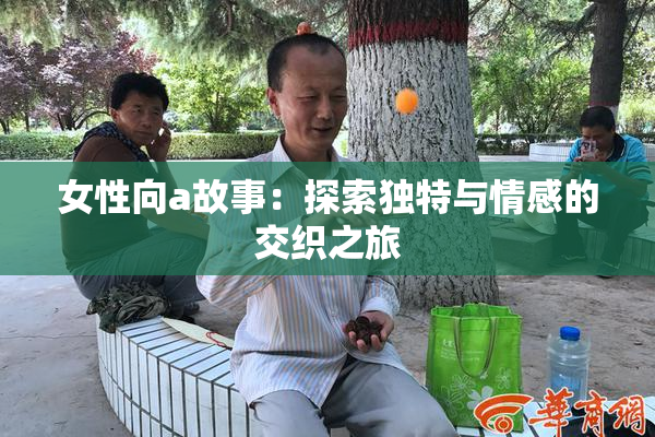 女性向a故事：探索独特与情感的交织之旅