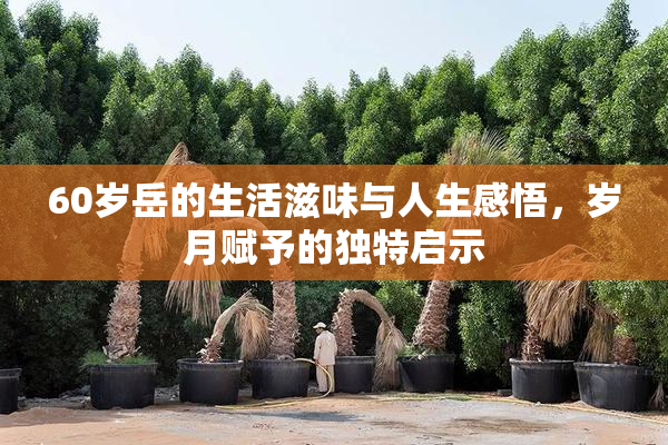 60岁岳的生活滋味与人生感悟，岁月赋予的独特启示