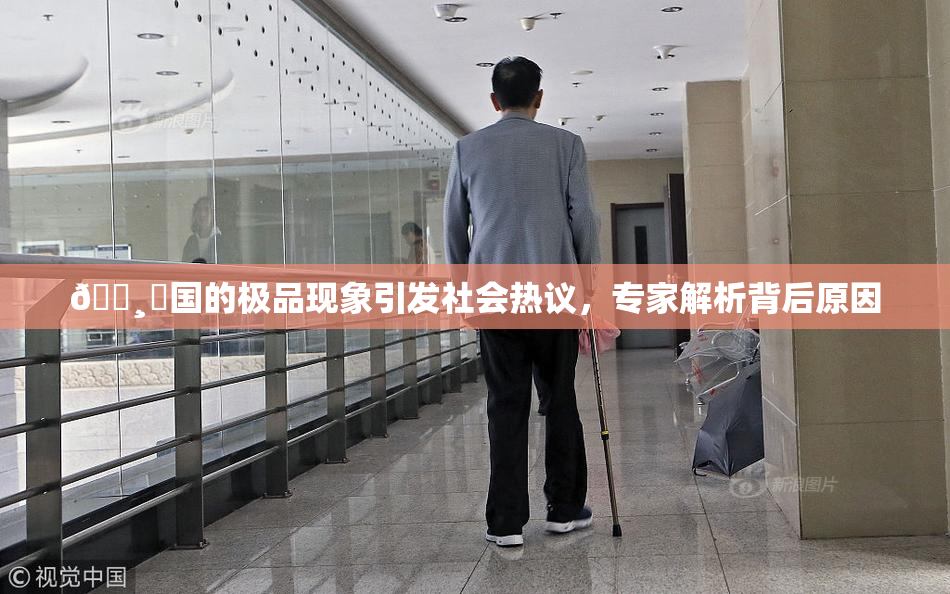 🌸‌国的极品现象引发社会热议，专家解析背后原因