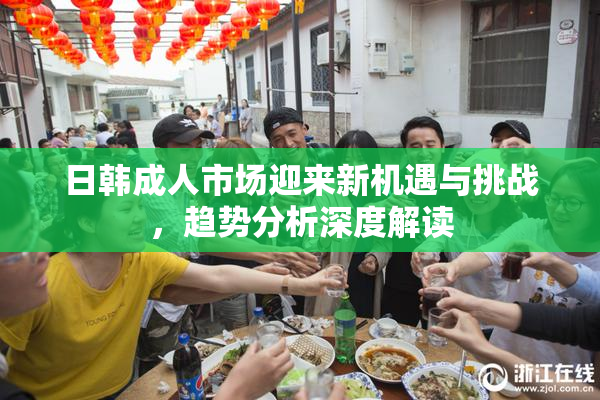 日韩成人市场迎来新机遇与挑战，趋势分析深度解读