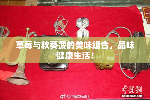 草莓与秋葵菠的美味组合，品味健康生活！