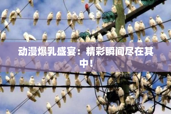 动漫爆乳盛宴：精彩瞬间尽在其中！