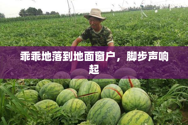 乖乖地落到地面窗户，脚步声响起