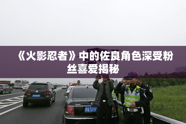 《火影忍者》中的佐良角色深受粉丝喜爱揭秘