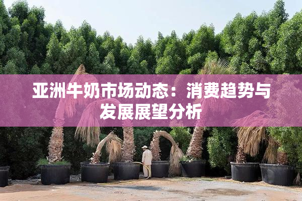 亚洲牛奶市场动态：消费趋势与发展展望分析