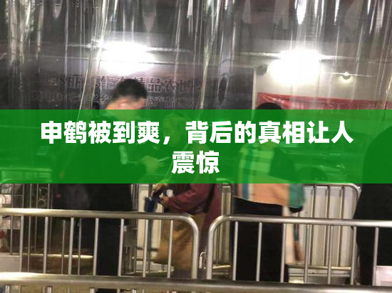 申鹤被到爽，背后的真相让人震惊