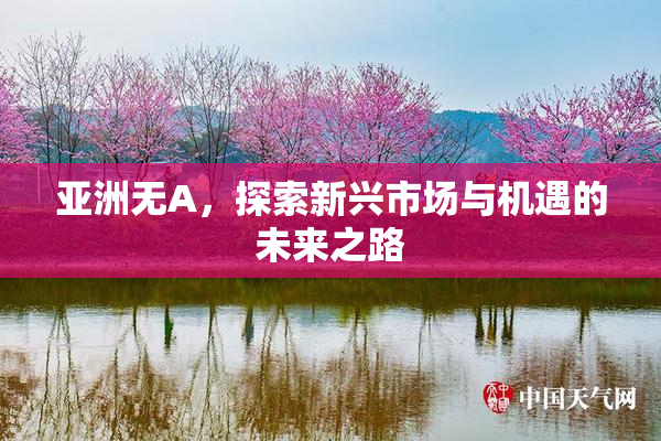 亚洲无A，探索新兴市场与机遇的未来之路