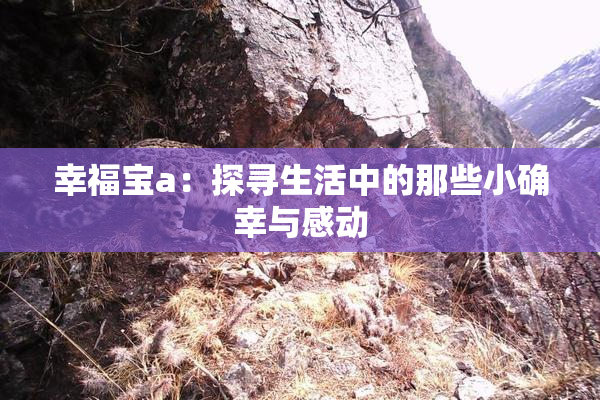幸福宝a：探寻生活中的那些小确幸与感动