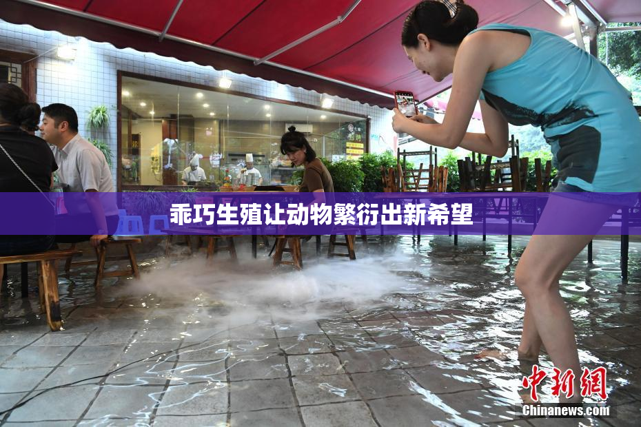 乖巧生殖让动物繁衍出新希望