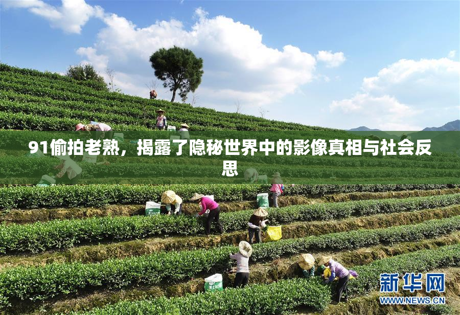 91偷拍老熟，揭露了隐秘世界中的影像真相与社会反思