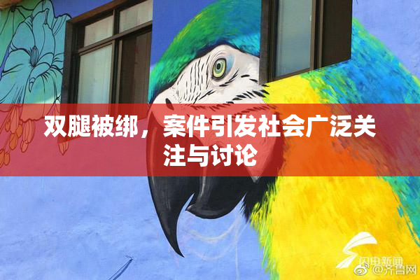 双腿被绑，案件引发社会广泛关注与讨论