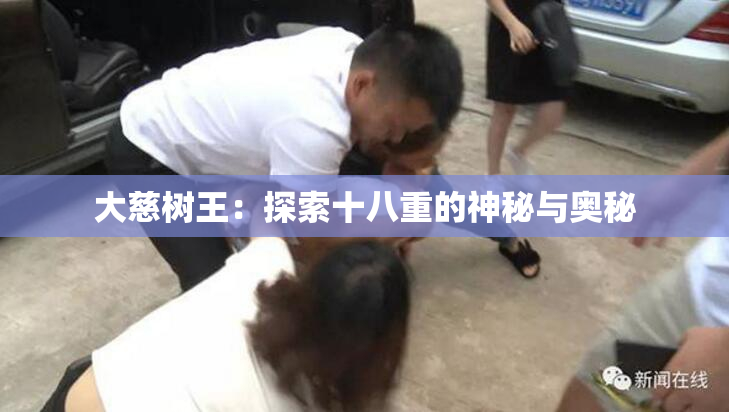 大慈树王：探索十八重的神秘与奥秘