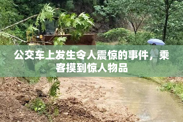 公交车上发生令人震惊的事件，乘客摸到惊人物品