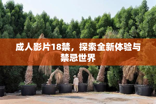 成人影片18禁，探索全新体验与禁忌世界