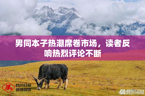 男同本子热潮席卷市场，读者反响热烈评论不断