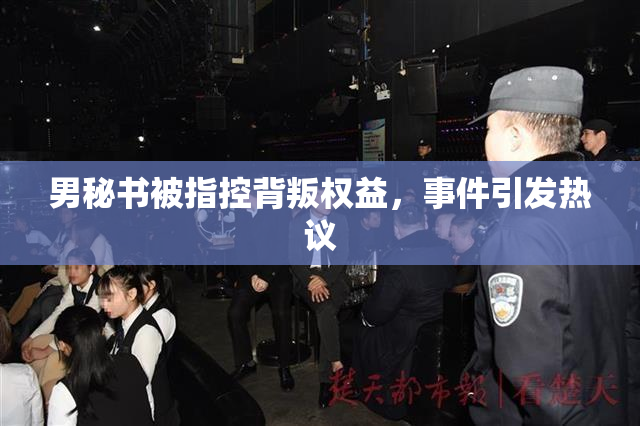 男秘书被指控背叛权益，事件引发热议