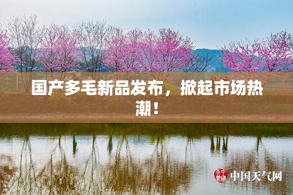 国产多毛新品发布，掀起市场热潮！
