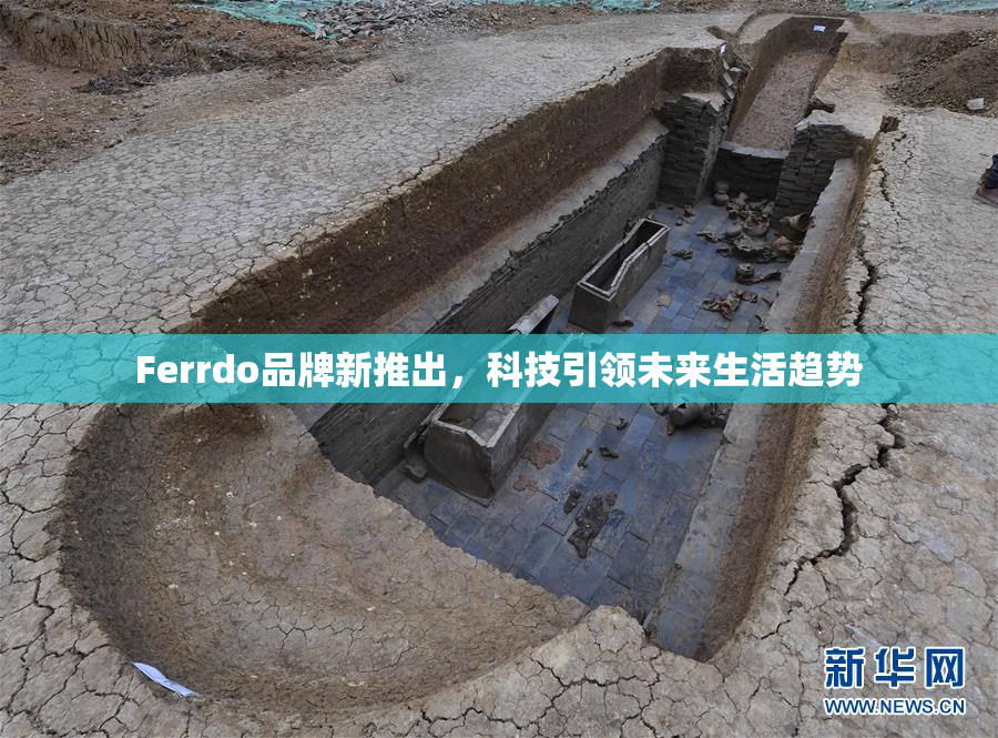 Ferrdo品牌新推出，科技引领未来生活趋势