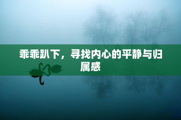 乖乖趴下，寻找内心的平静与归属感