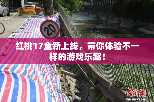 红桃17全新上线，带你体验不一样的游戏乐趣！
