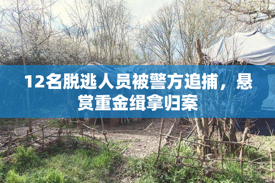 12名脱逃人员被警方追捕，悬赏重金缉拿归案